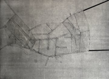 LIMITES Y PERFILES, encre (monotipe), 38,5 x 55,5 cms, 2012 - IMG_1530